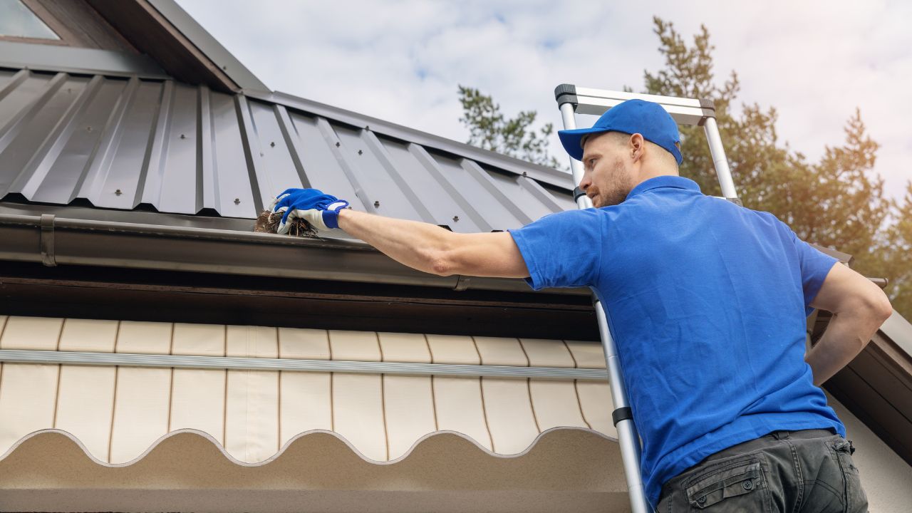 Roof and Gutter Cleaning: The Unexpected Hero of Water Efficiency