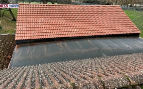 Clean Roof, Healthy Home: The Benefits of Roof Cleaning