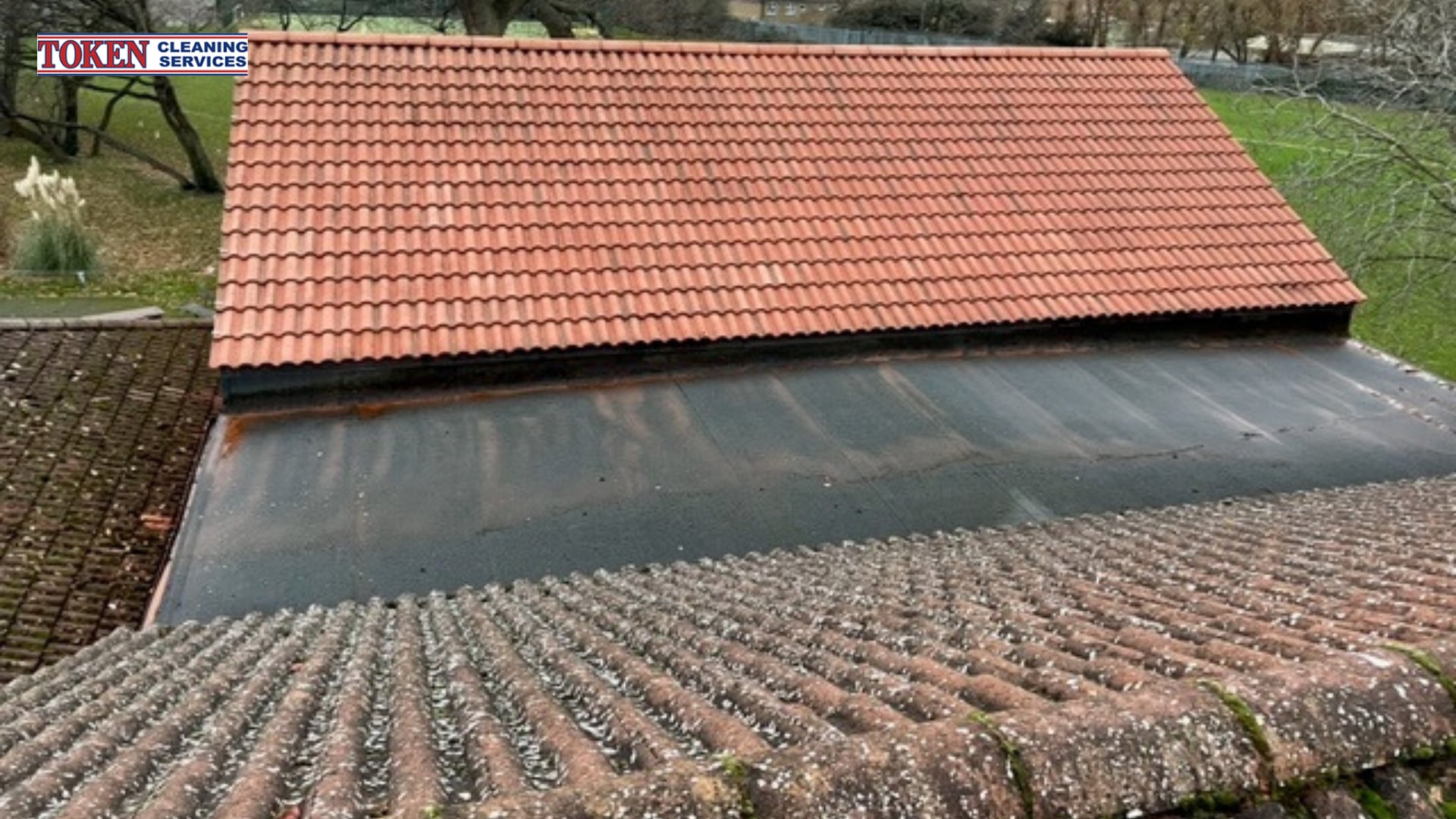 Clean Roof, Healthy Home: The Benefits of Roof Cleaning