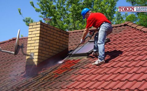 Clean Roof, Healthy Home: The Benefits of Roof Cleaning