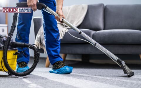 Clean Carpets, Happy Pets: A Guide for Pet Owners