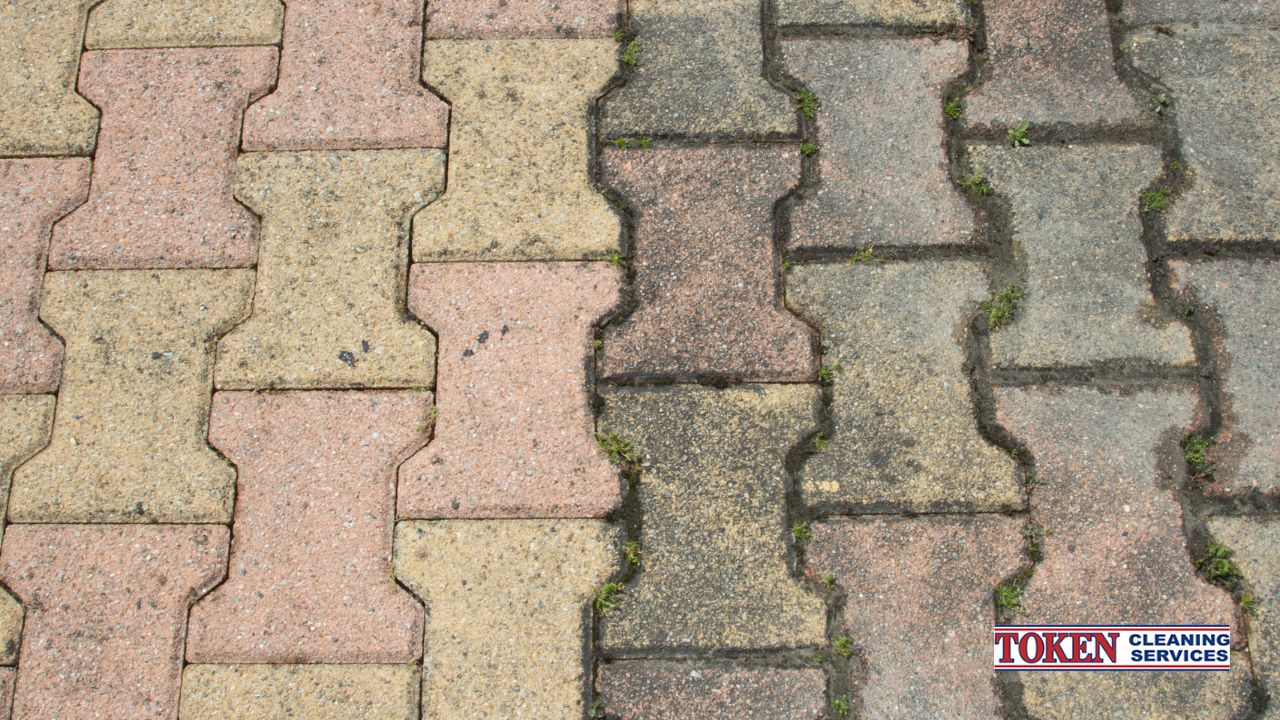 Can You Really Remove Algae from Stone? Yes, Here’s How