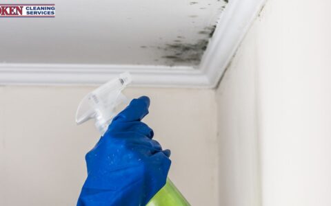 The Ultimate Guide to Mould Prevention at Home