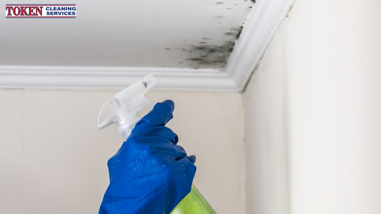 The Ultimate Guide to Mould Prevention at Home