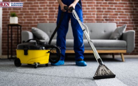 How Professional Carpet Cleaning Tackles Allergens