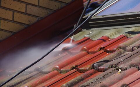 Roof Tile Cleaning: Protect Your Investment from Moss and Algae