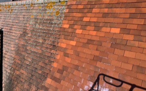 Stop the Spread: Comprehensive Roof Algae Removal Techniques