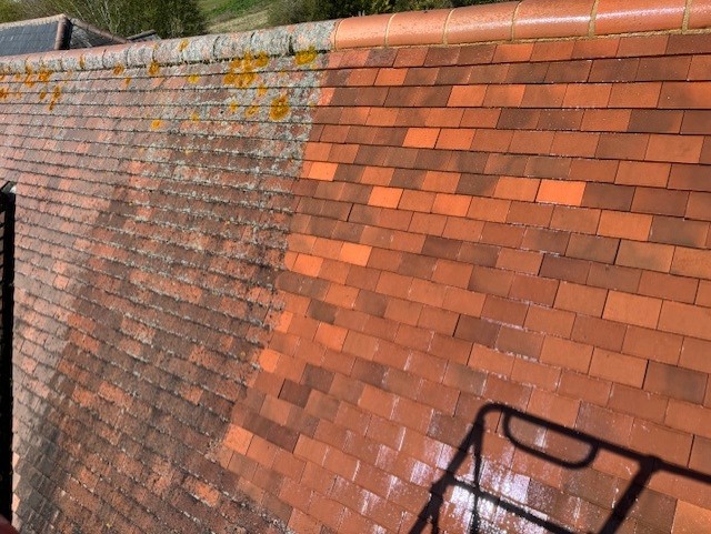 Stop the Spread: Comprehensive Roof Algae Removal Techniques