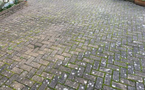 How Do You Get Rid of Stubborn Black Lichen and Moss Using High Pressure Cleaning for Patio Surfaces?