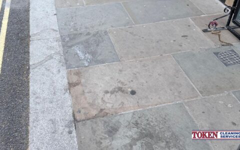 Restoring Capital Walkways: The Power of Specialist Street Steam Pressure Washing